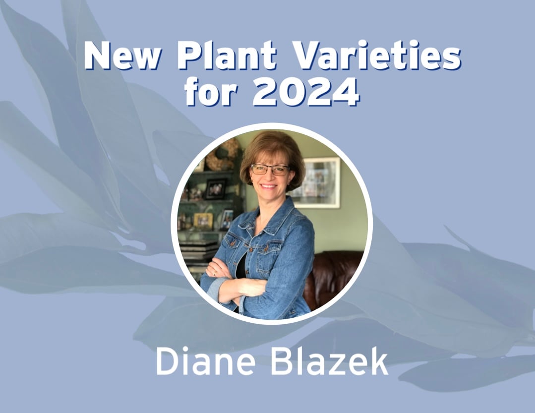 2024-new-varieties-blazek