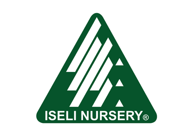 Iseli_logo