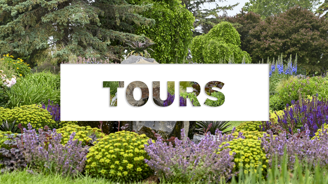 TOURS_BANNER