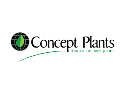 concept_plants